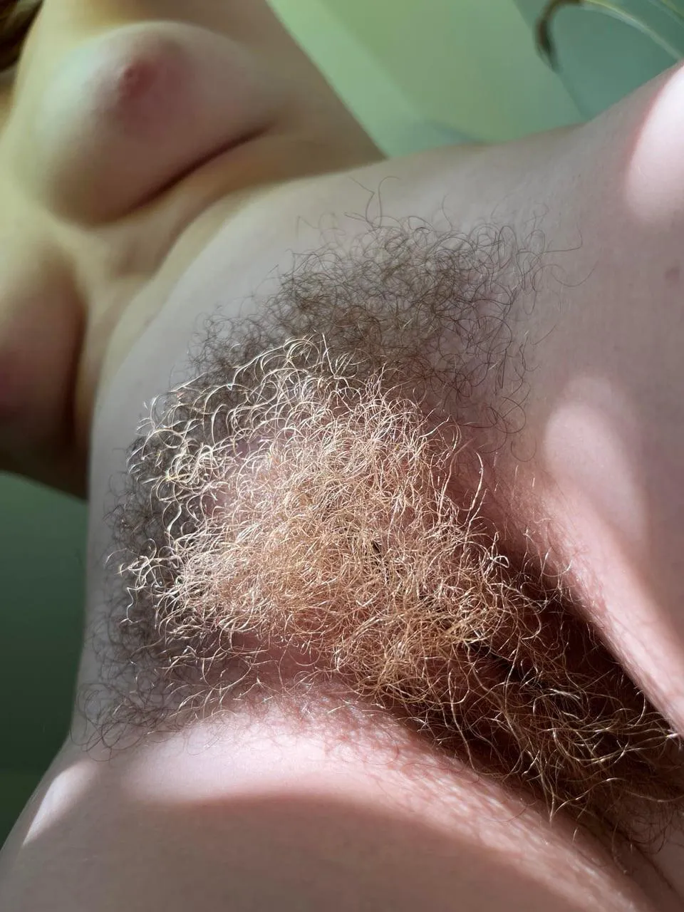 how long I grow my bush?