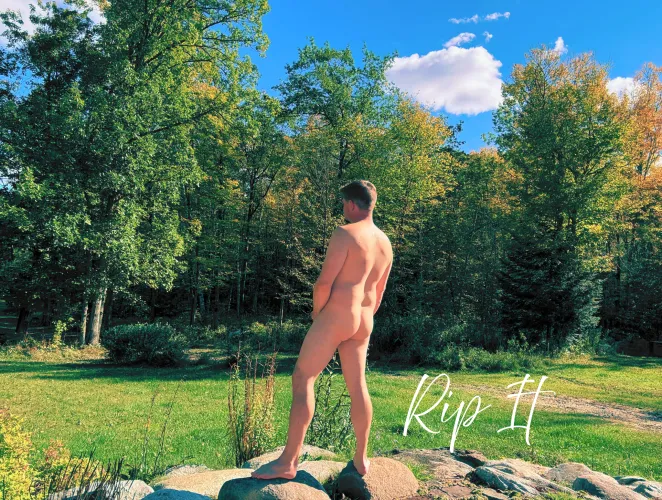 I love spending my days like this out in the sun.