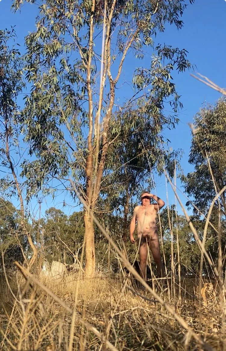 Soaking in the sun while I can