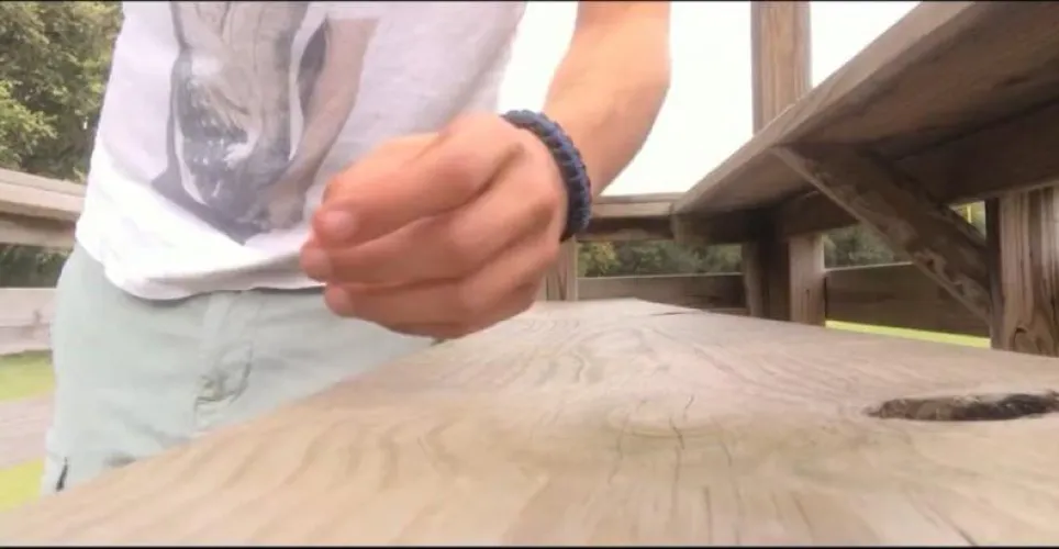 Went on a lovely walk