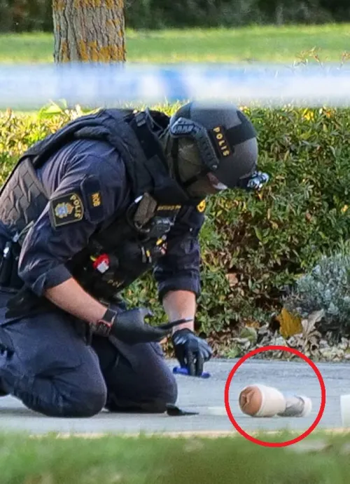 [Help] Can someone help ID this sleeve?