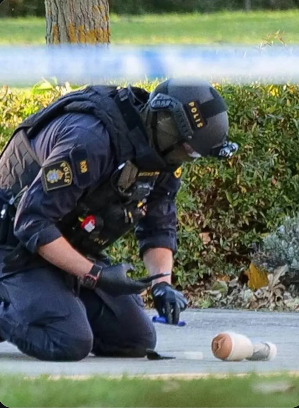 Is this a Stella Lagneia Pro?