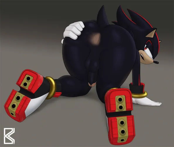 Shadow the Hedgehog
