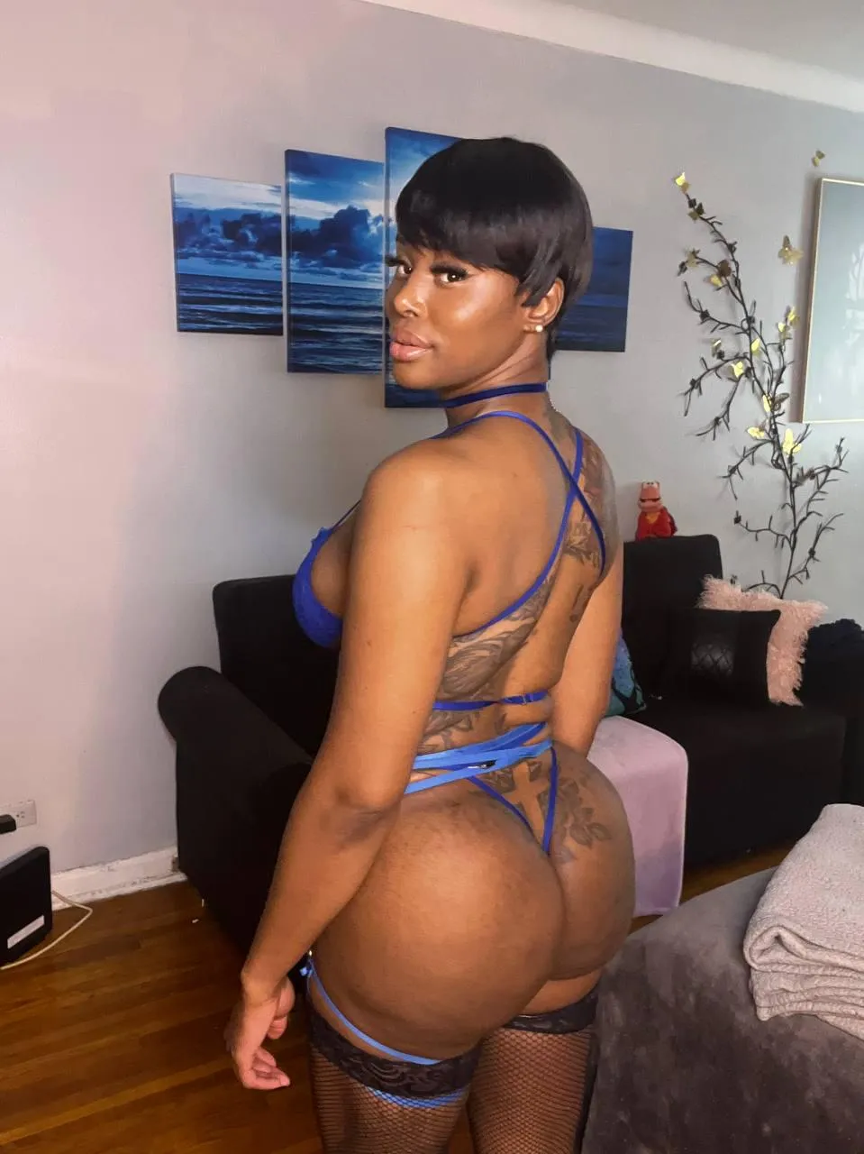 Be honest... suck my cock or let me fuck you?