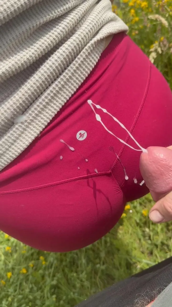 Some ropes down by the Snohomish river