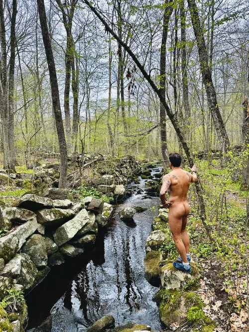 The woods, the woods