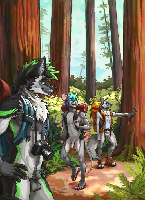 Redwood forest [MMM] (Manedfucc)