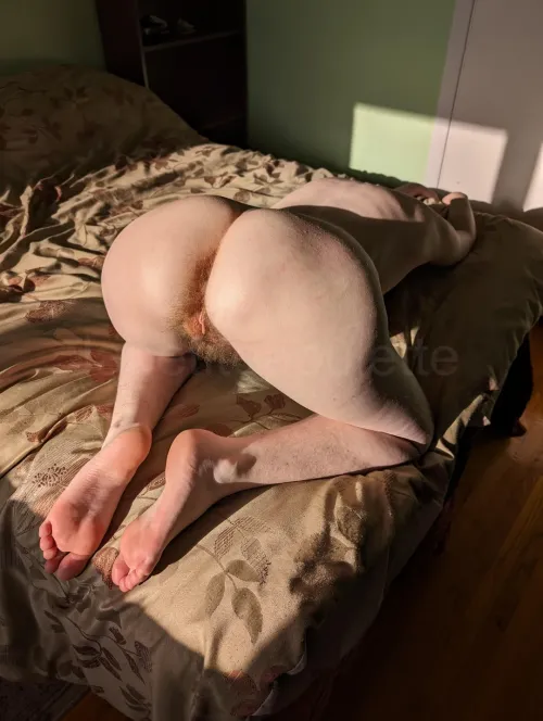 Any volunteers to be my chair? [bfb]