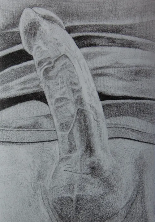 Beautiful erection. (Anonymous redditor as a model, made by me.)