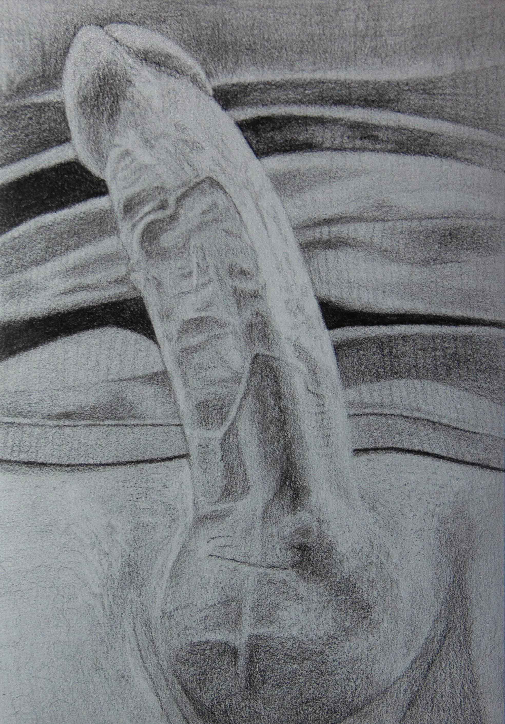 Beautiful erection. (Anonymous redditor as a model, made by me.)