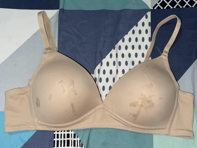 Classmate’s Bra 36B