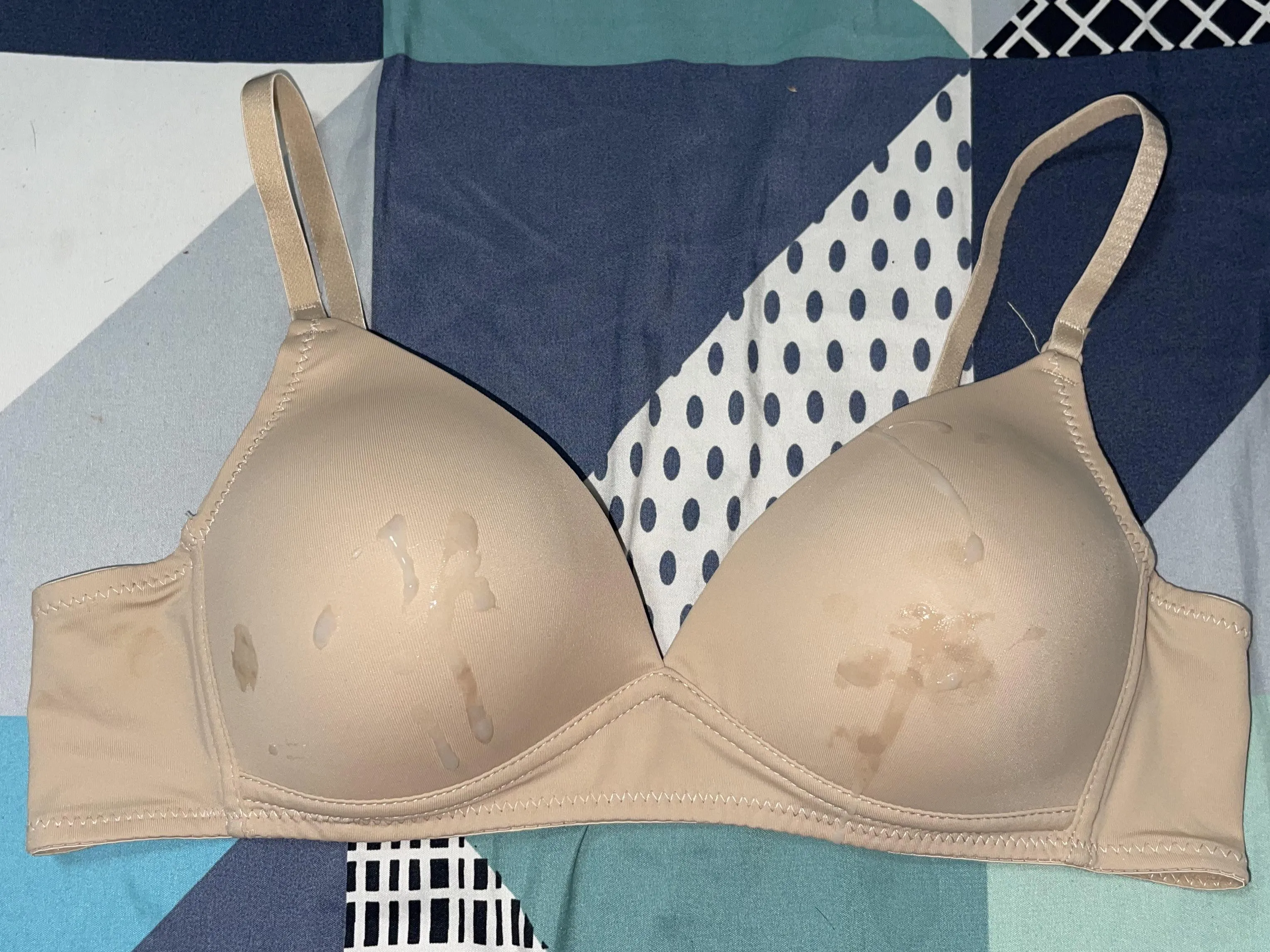 Classmate’s Bra 36B