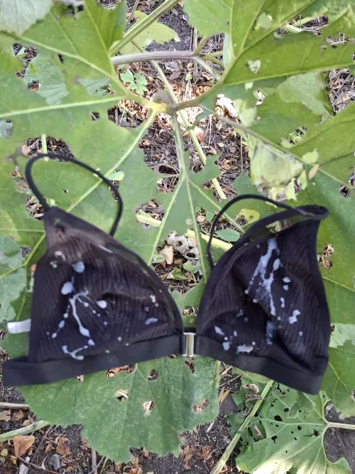 Eine 2. Ladung drauf gespritzt