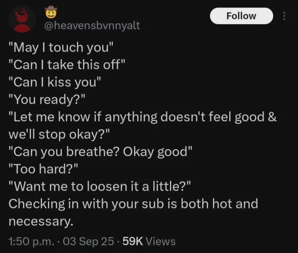 POV: You’re a soft dom and your love language is consent check-ins