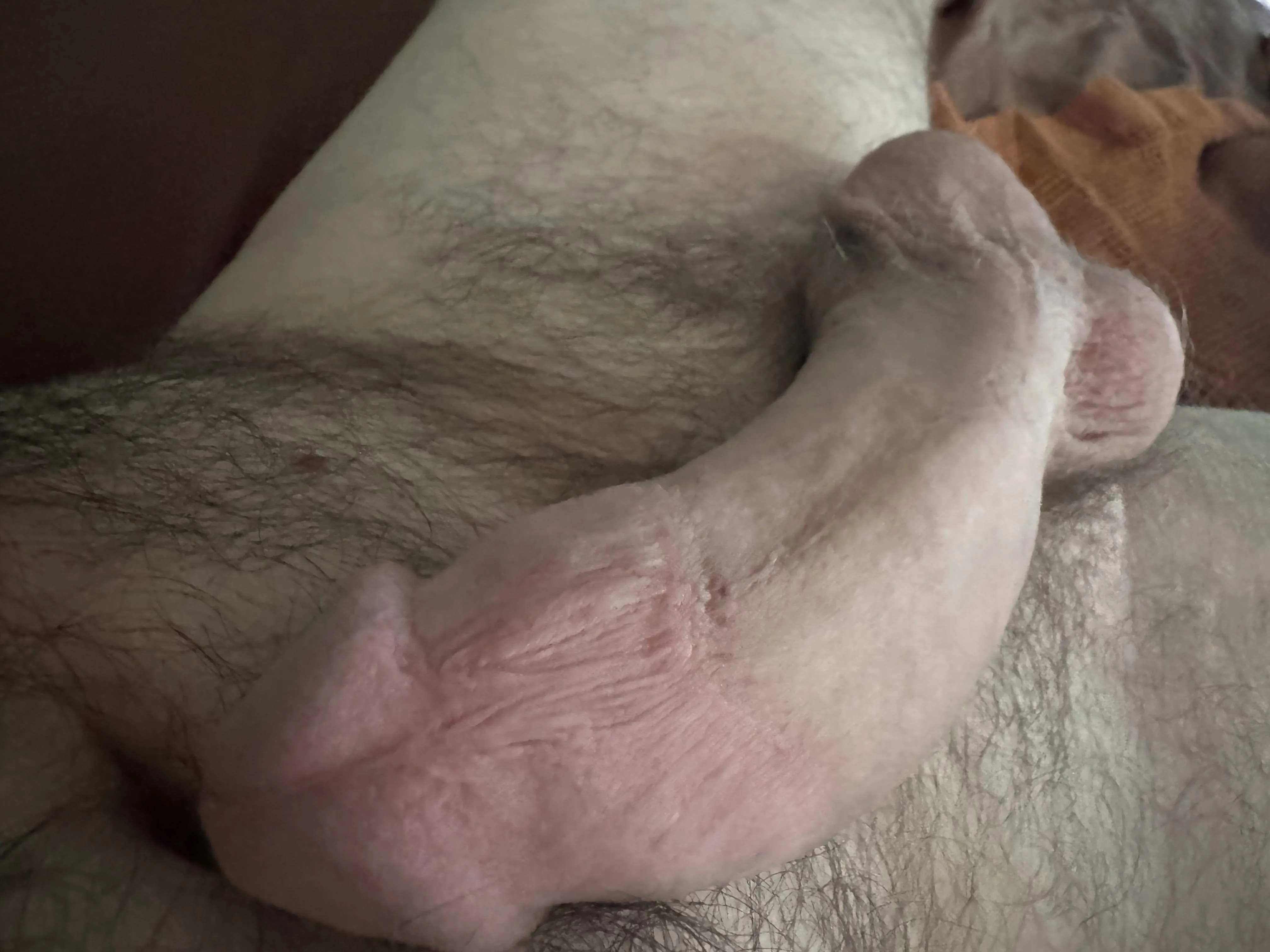 44 [M4F] Hung daddy 9 inch BWC looking for his good girl