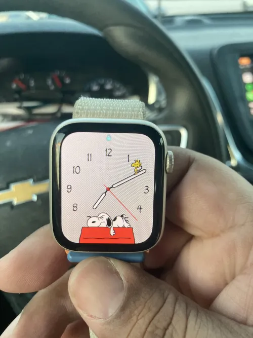 Apple Watch found