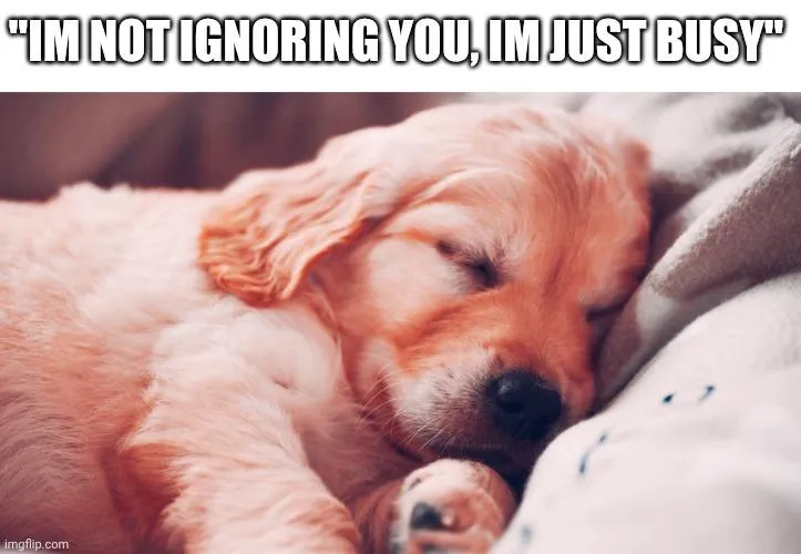 Average puppygirl activities