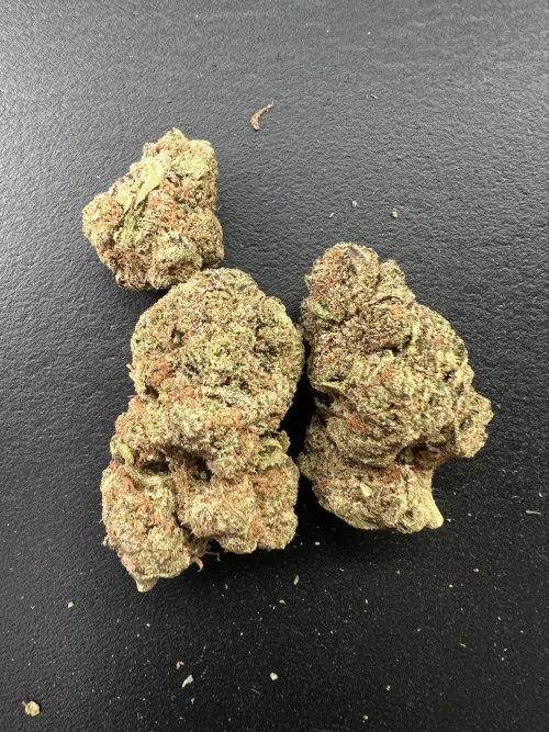 Blueberry Pancakes - Revelry Hemp