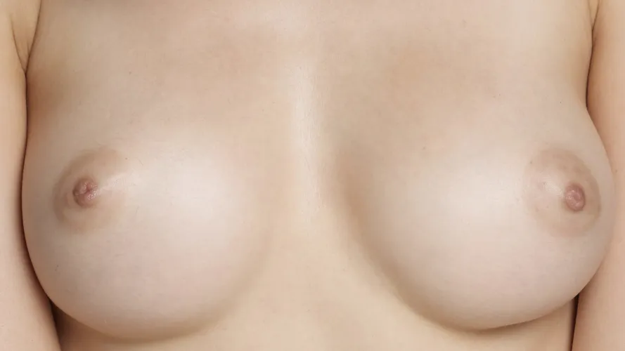 Cute perkies [2560x1440]