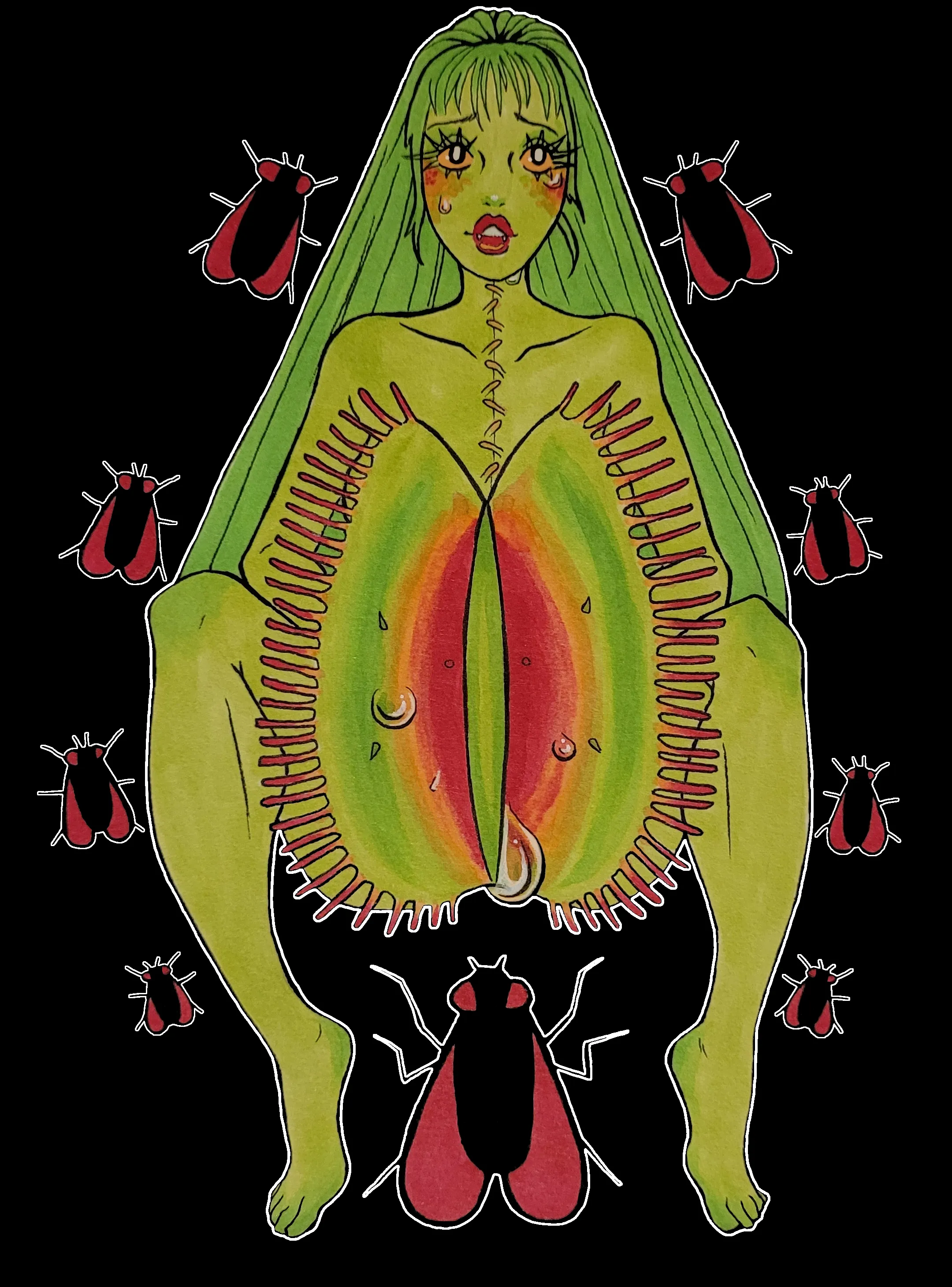 Day 2 - Venus Fly Trap