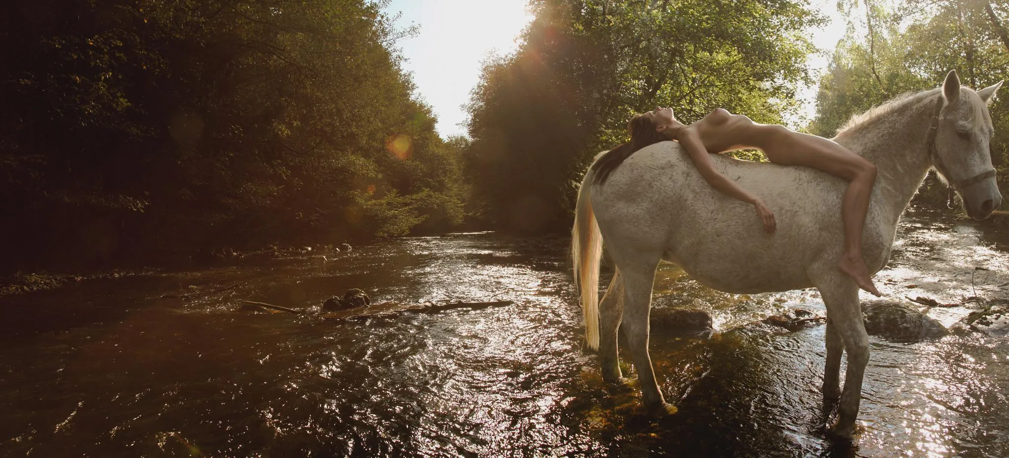 Echoes of the Summer