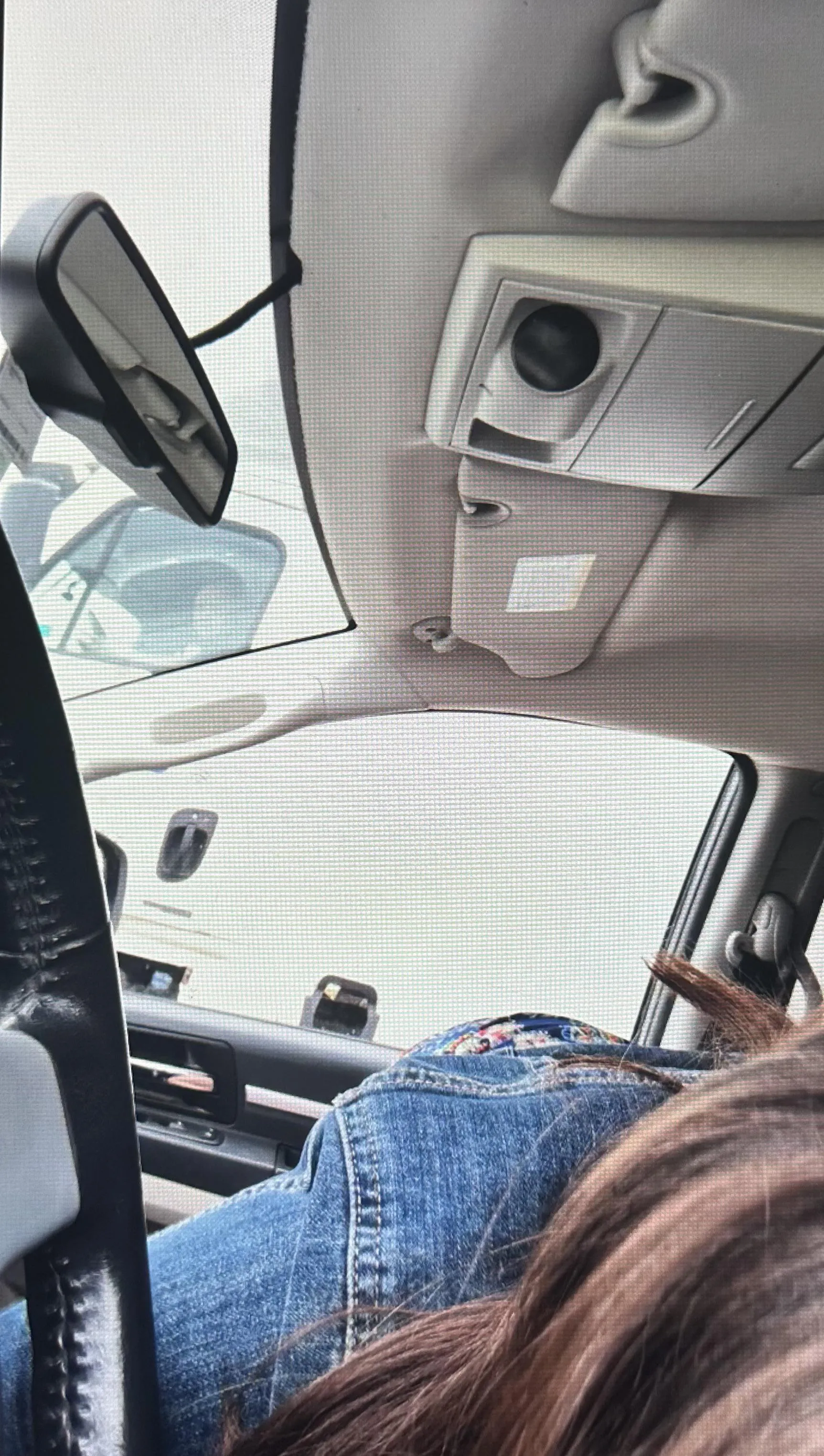 He definitely enjoyed the view!