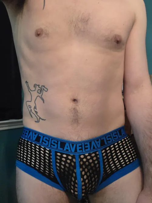 I just love the mesh!