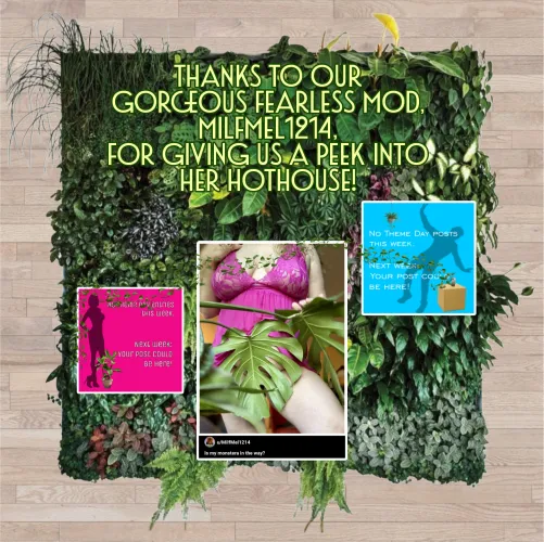 Join in the Theme Day fun this Thursday!