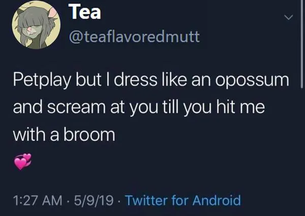 ouppies how do we feel abt o opossum girls? (⁠ㆁ⁠ω⁠ㆁ⁠)