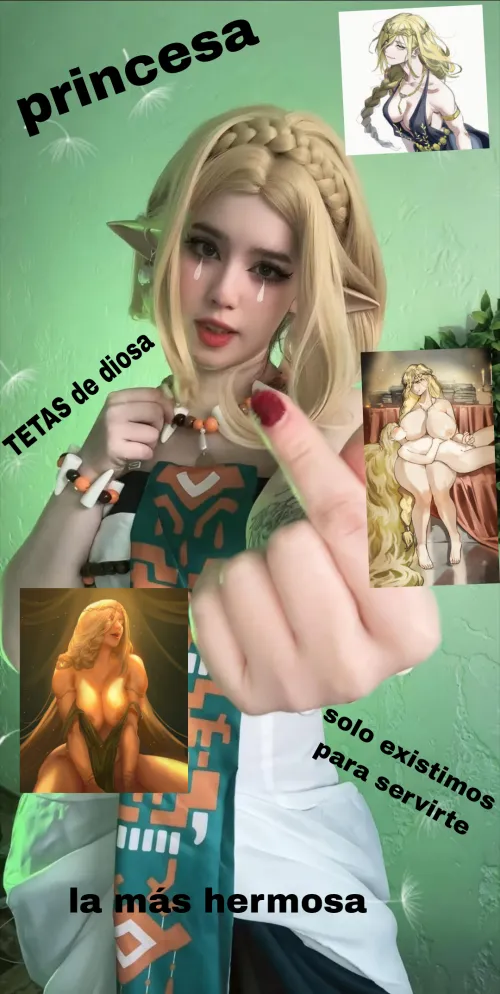 Que le harian a nuestra princesa Zelda?