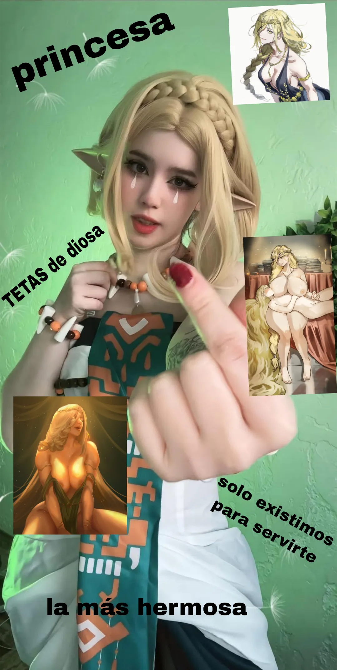 Que le harian a nuestra princesa Zelda?