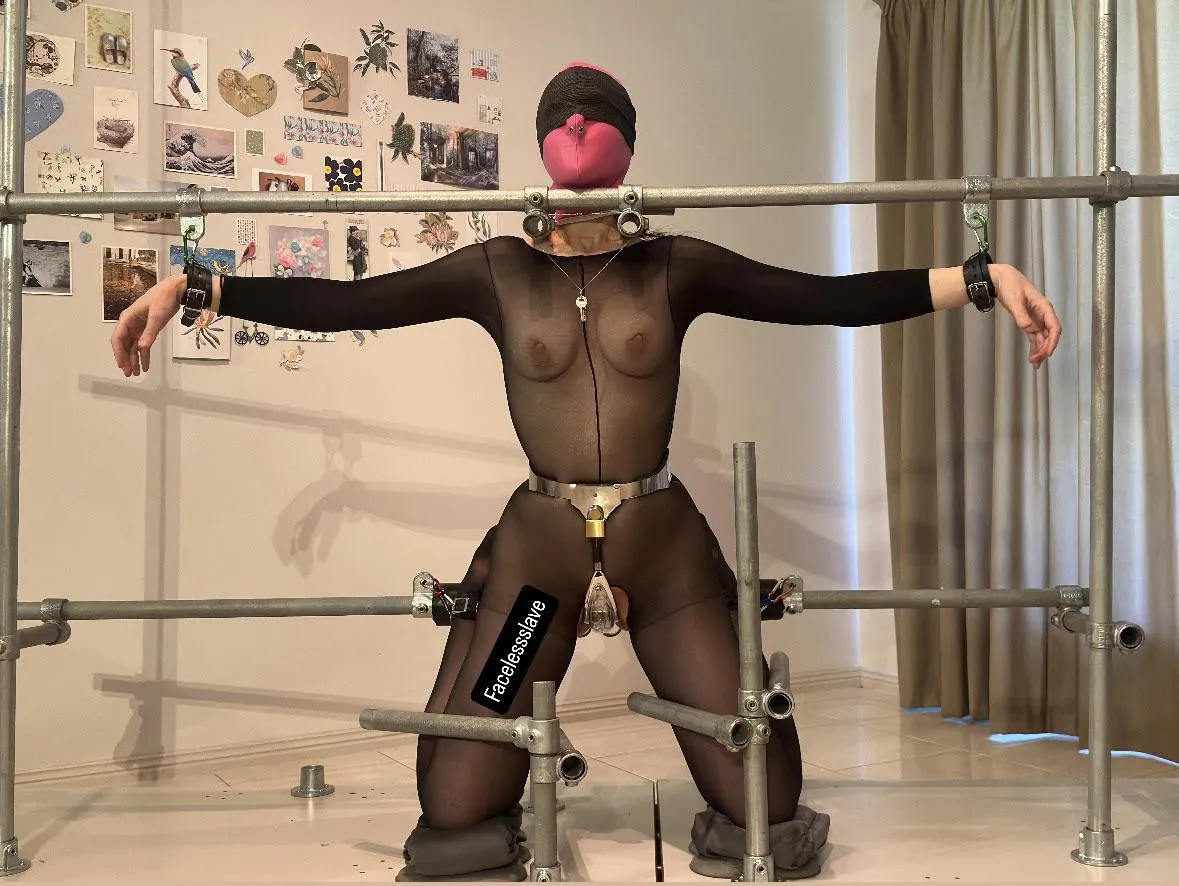 Really happy with the pipe set up we ended up making. Very modular which I love. For anyone who wants to know, the pipe size is B34. Also, used joints that a wrist cuff can be hooked on to rather than using pipes to secure the wrists. Continued……