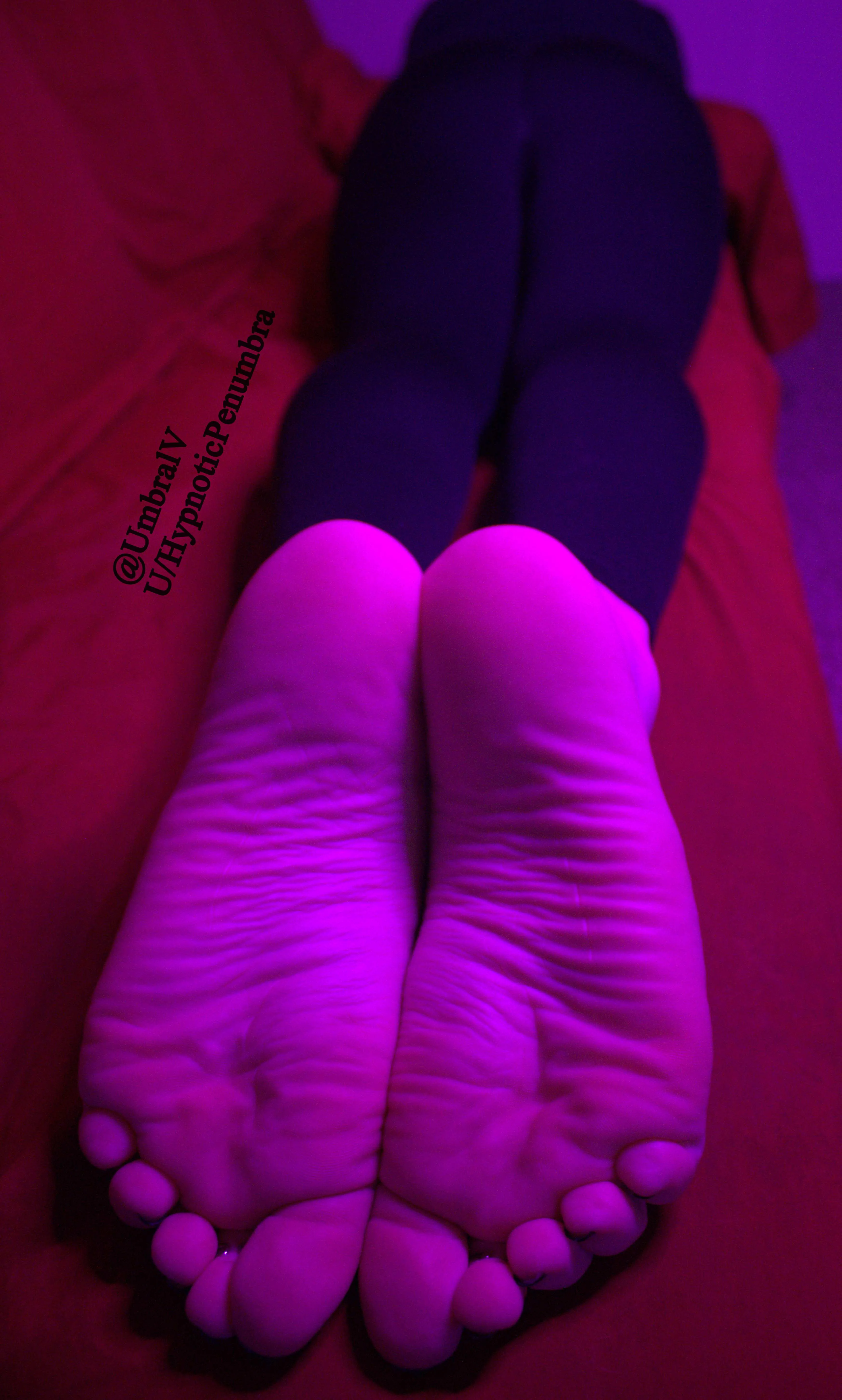 Staring longingly at my feet again? Always such a perv~ 👣