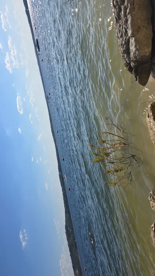 The wave are relaxing