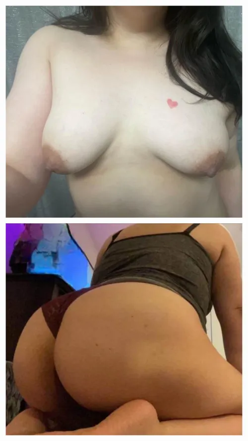 Would any bull breed this