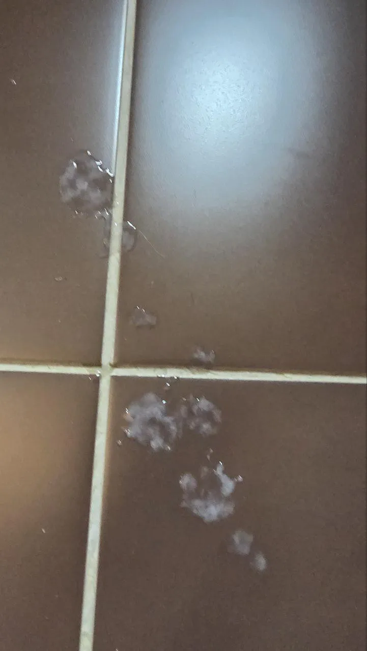 I cum on the ground and you drink it