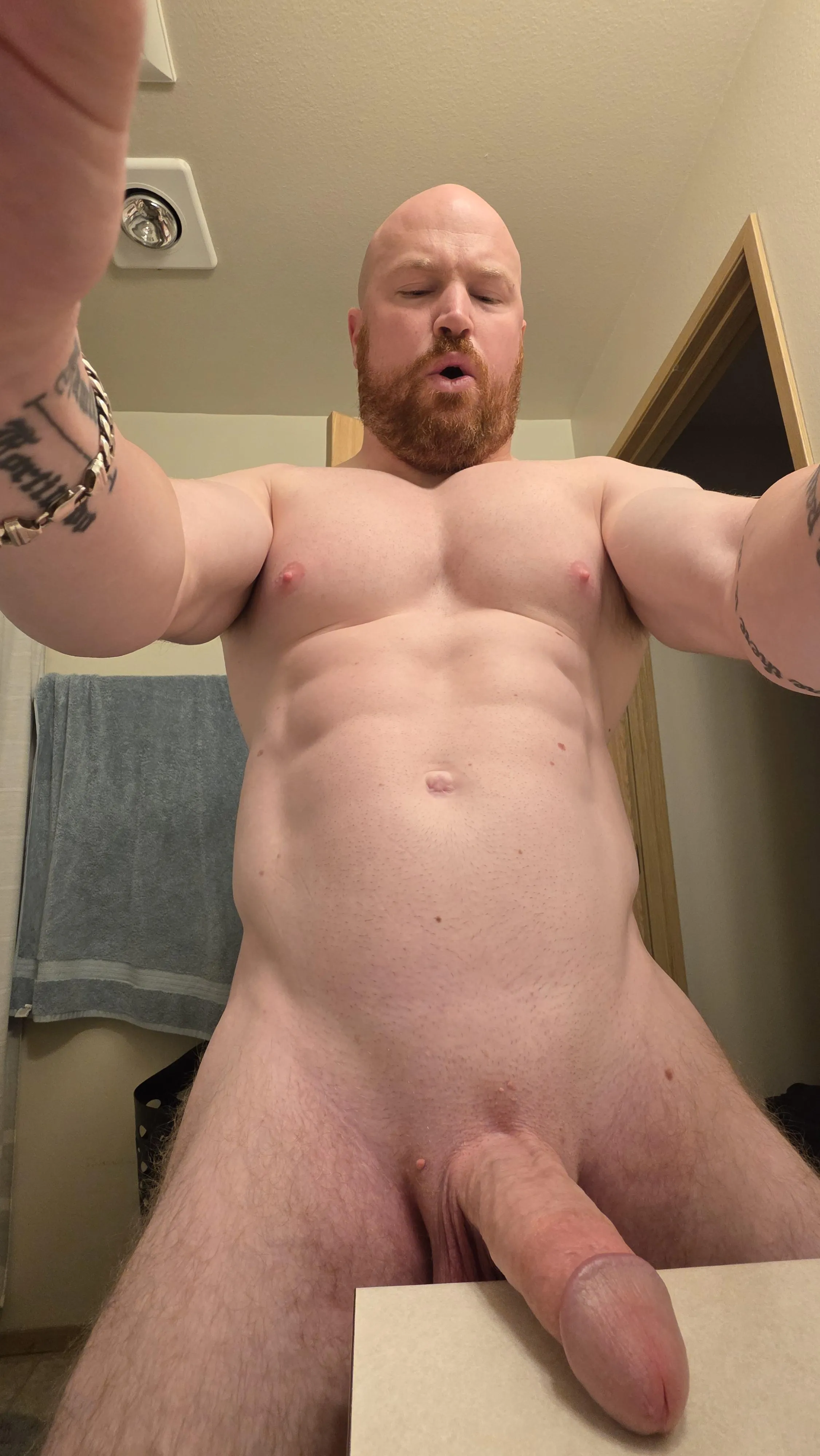 [35] - #PullmanWashington - bull here.... my cock is aching and i need a pussy to stretch good
