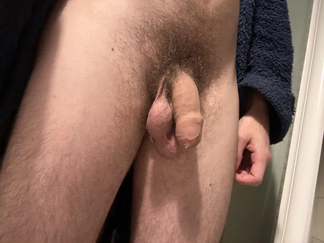 Bush is finally growing back (27)uk