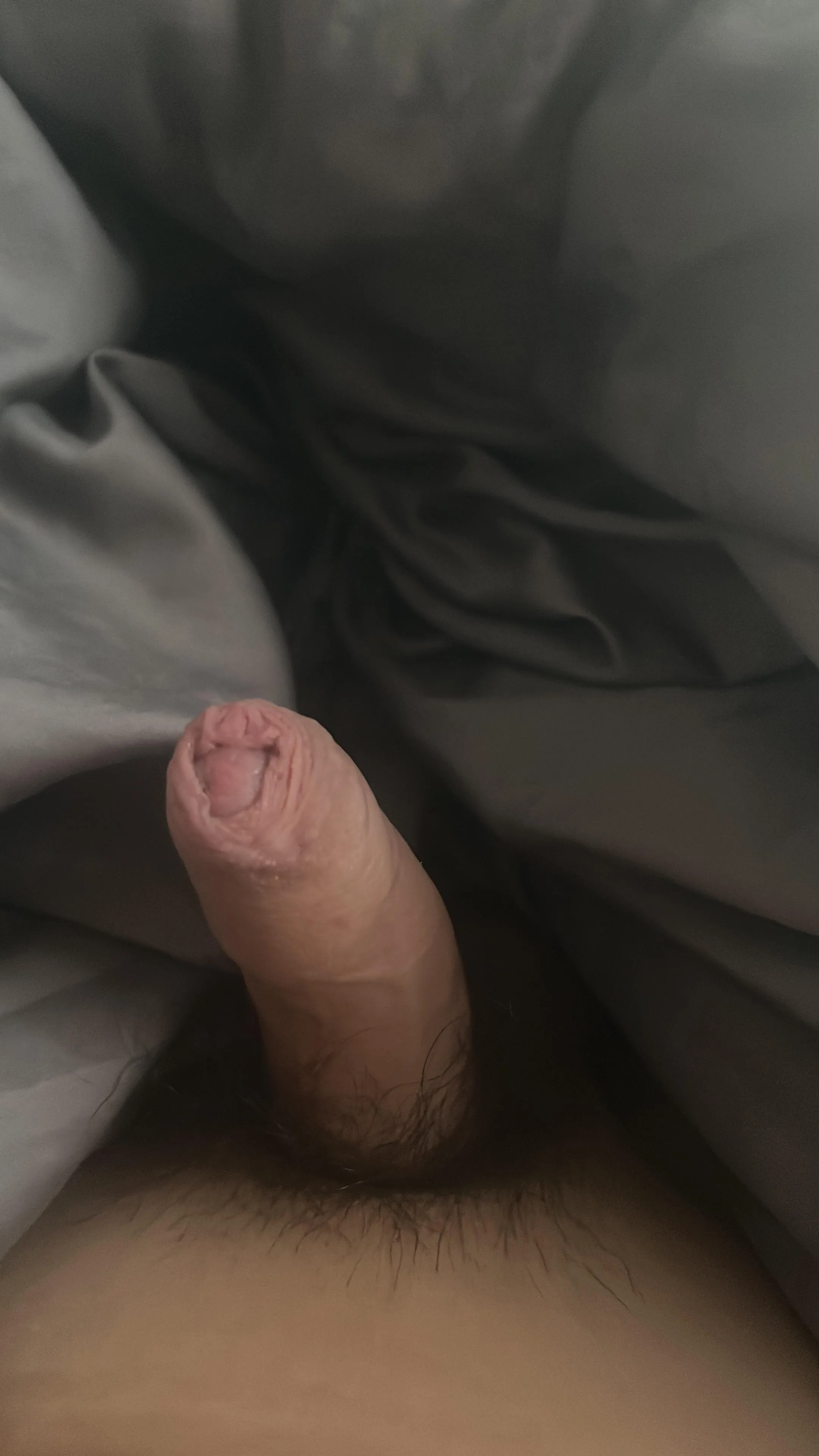 Rate this tiny cock