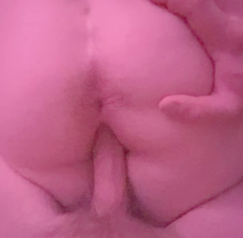girl cock saved my life i can’t lie (27f + 28m<3)