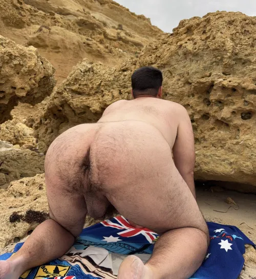 Beach bear butt
