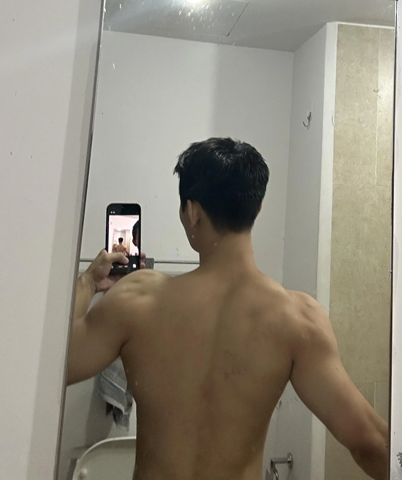 Chinito Bull looking for couple