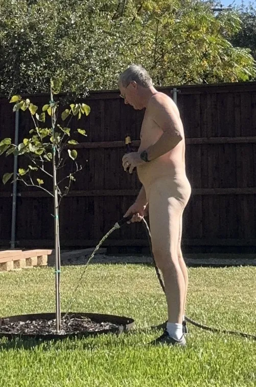 We need rain and the tree needs water, what is a guy to do