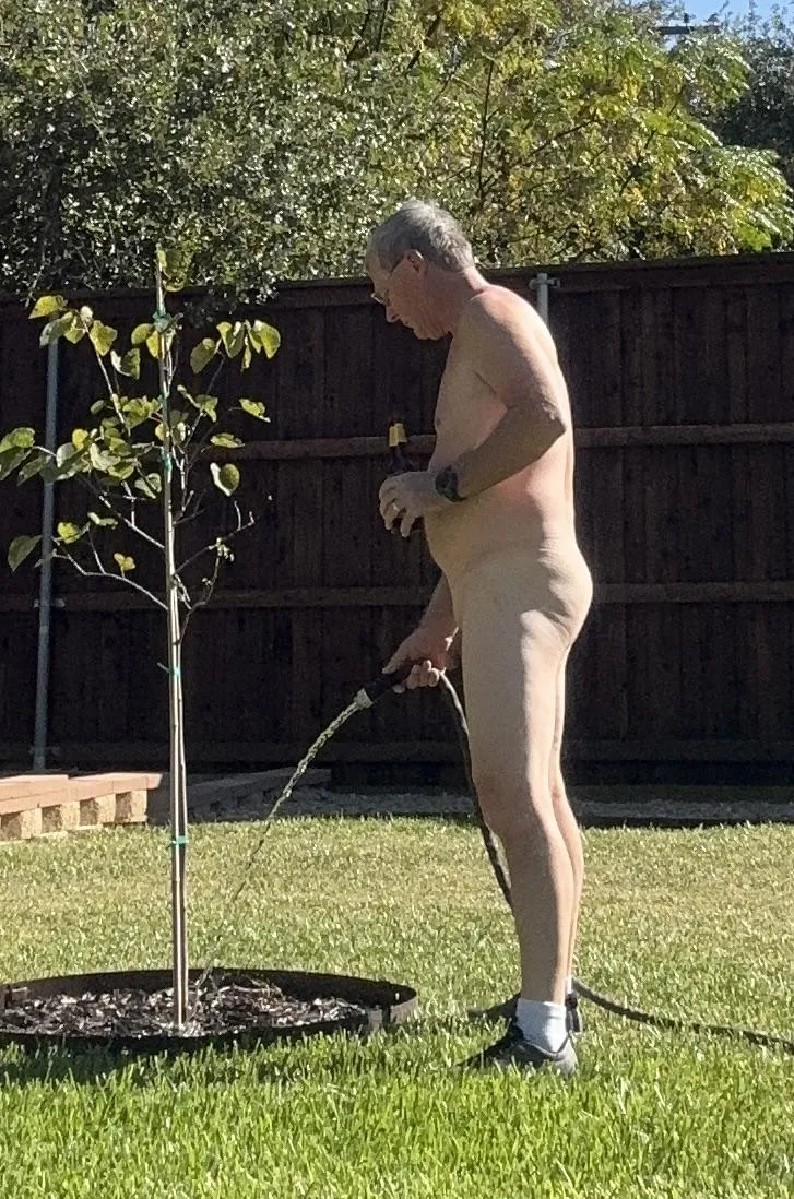 We need rain and the tree needs water, what is a guy to do