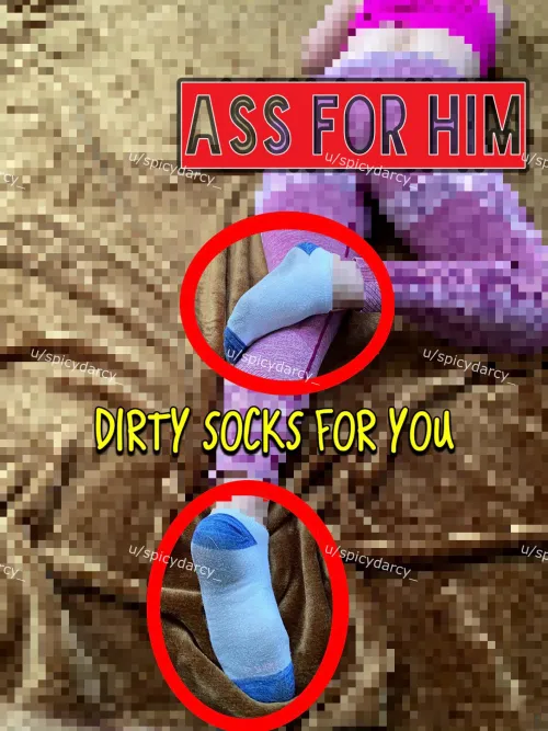 Ache for my socks . Say “thank you, Darcy”.