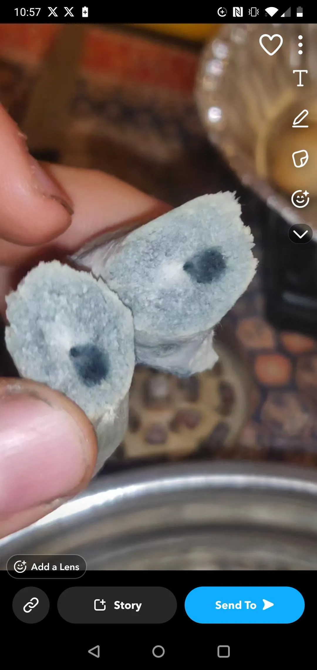 Bluest I've ever seen