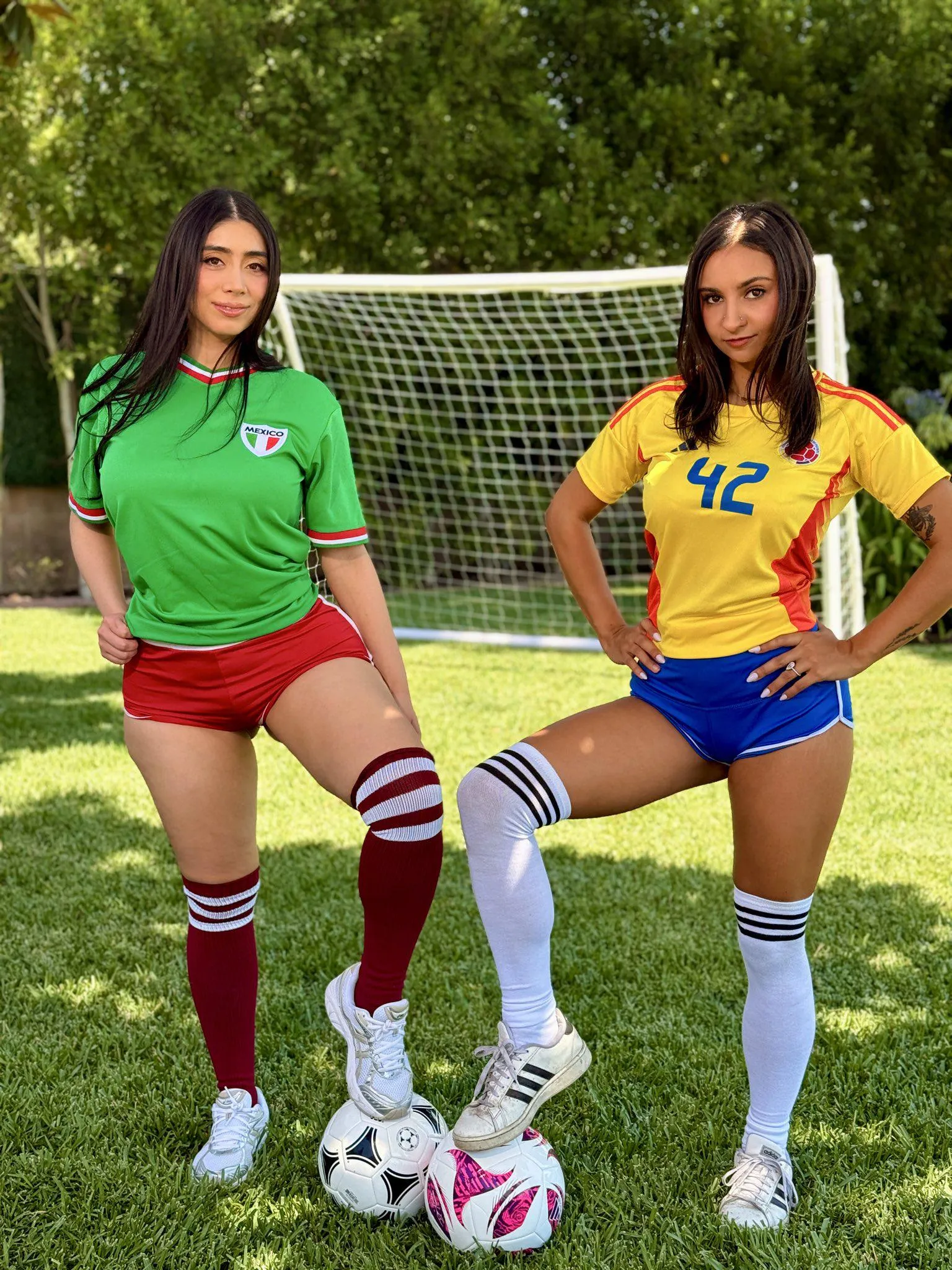Who will win soccer ⚽ match Violet Myers Vs Hailey Rose