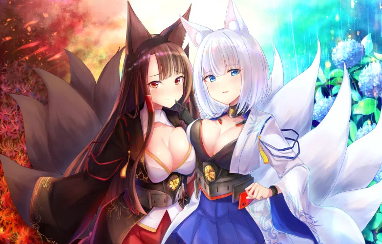 Akagi and Kaga