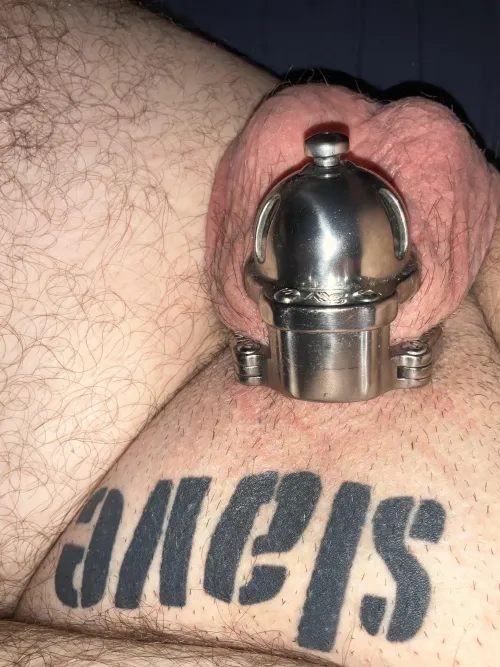 Permalocked in Steelwerks Short Story