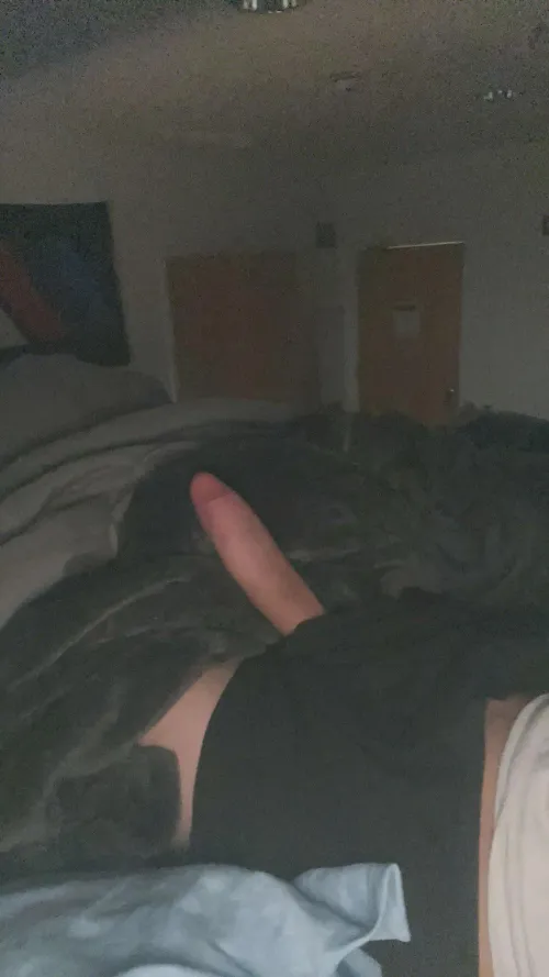 Who can spare a night for me